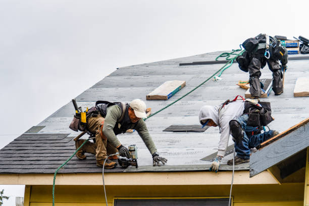 Professional Storm Damage Roof Repair technician working in Norwood, NC
